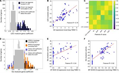 Independent Component Analysis Identifies the Modulons Expanding the Transcriptional Regulatory Networks of Enterohemorrhagic Escherichia coli